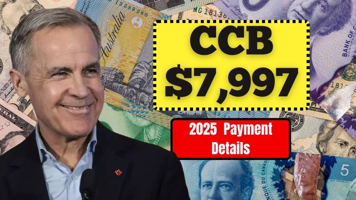 CCB 2025- $7,997 Payment Details, Eligibility, And Schedule Explained
