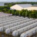 Colombia, Mexico, And Peru Establish LPG Partnership