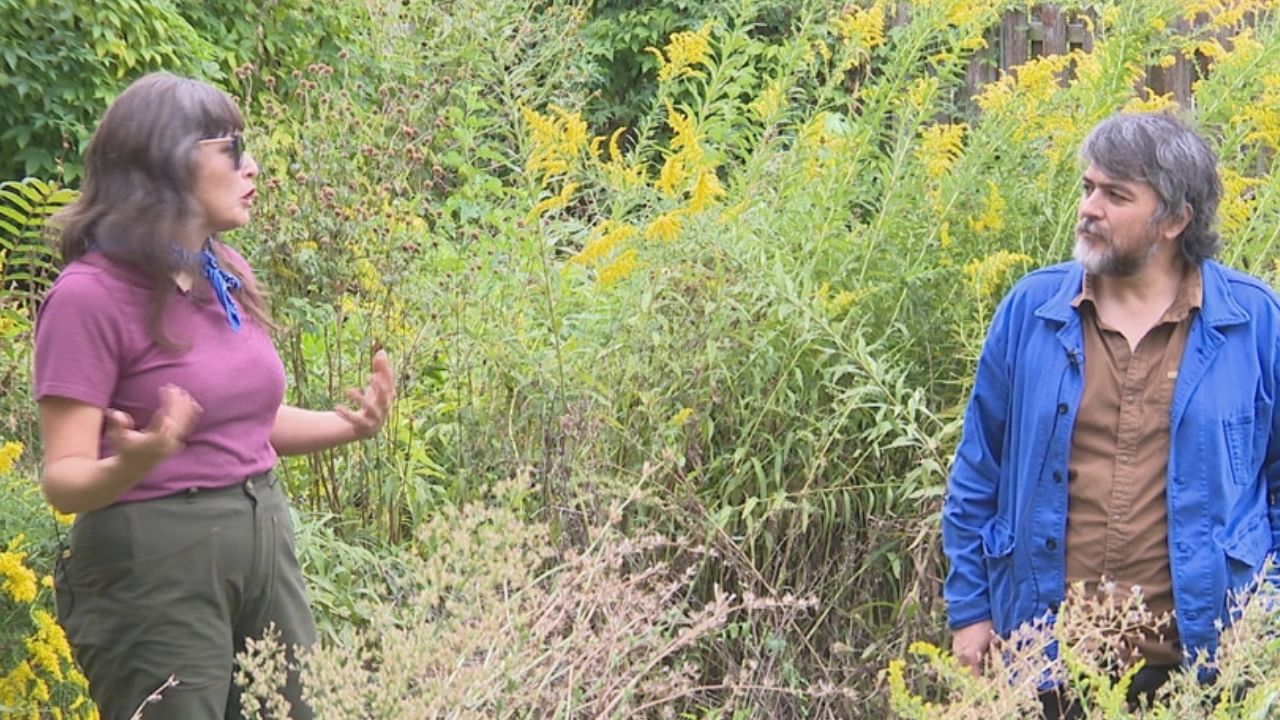 How Juan William Chávez Combines Art, Ecology, And Heritage In St. Louis