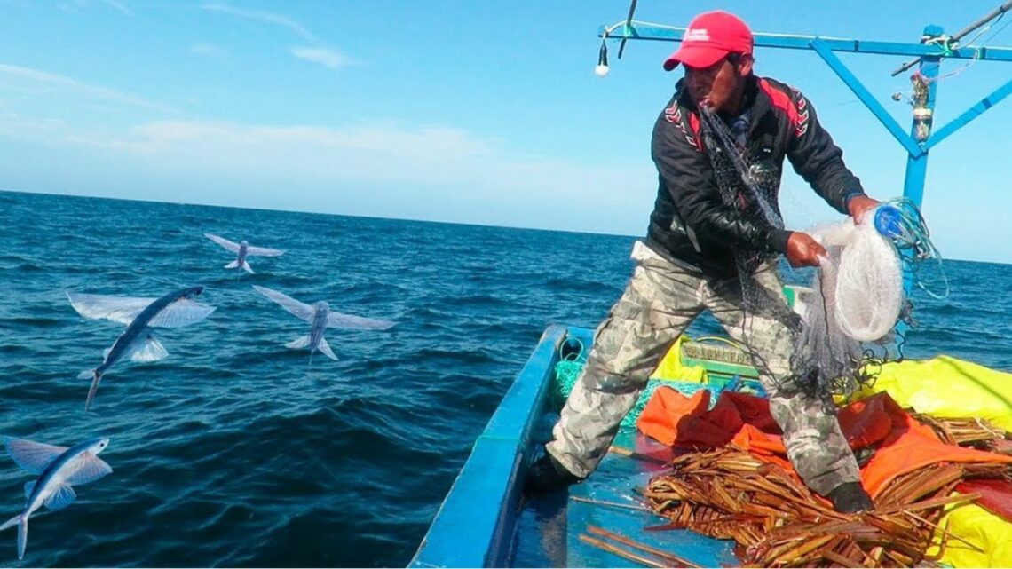 Illegal fishing threatens Unique Marine Ecosystem In Peru