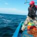Illegal fishing threatens Unique Marine Ecosystem In Peru