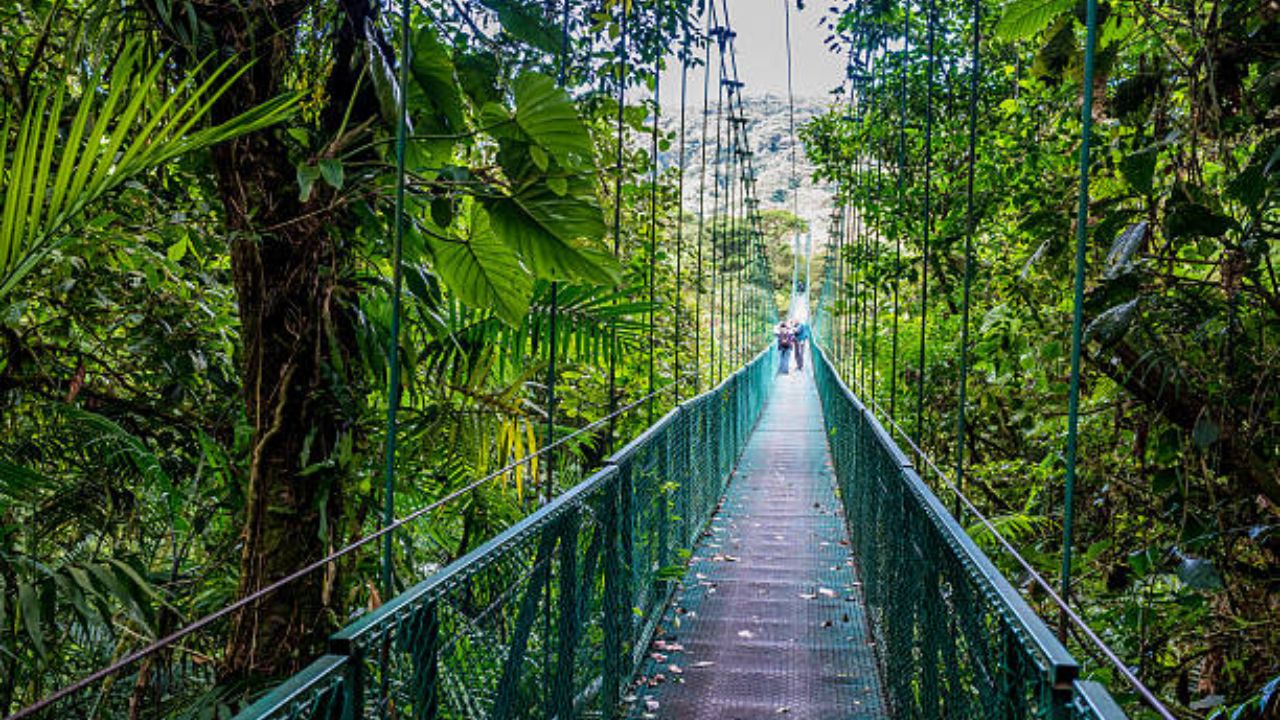 Mysterious ‘Dwarf’-Like Figure Filmed Crossing Bridge In Peru Jungle