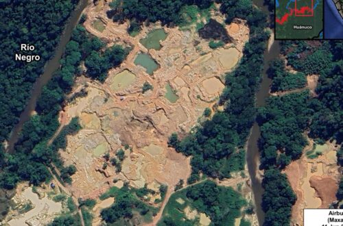 New Mining Trends And Rising Deforestation Uncovered In Peru’s Amazon