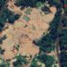 New Mining Trends And Rising Deforestation Uncovered In Peru’s Amazon