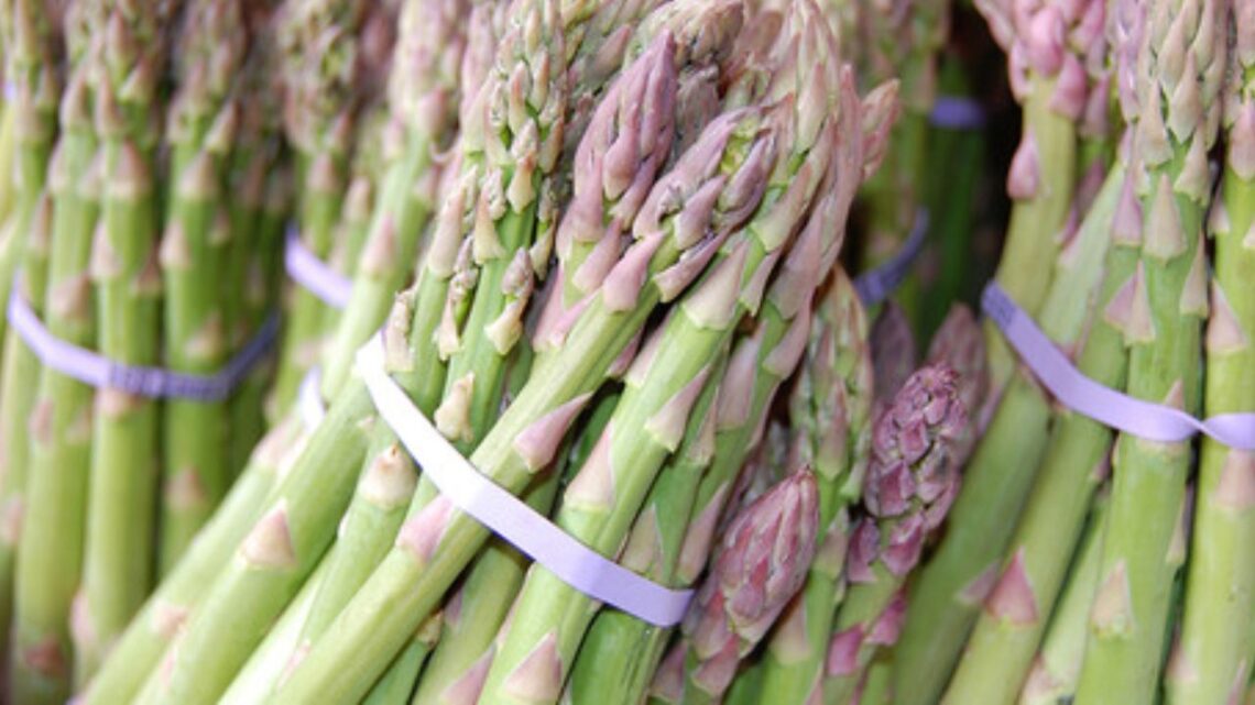 Pacific Produce Expands Its Asparagus Operations In Peru