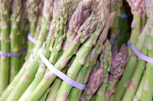 Pacific Produce Expands Its Asparagus Operations In Peru
