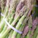 Pacific Produce Expands Its Asparagus Operations In Peru
