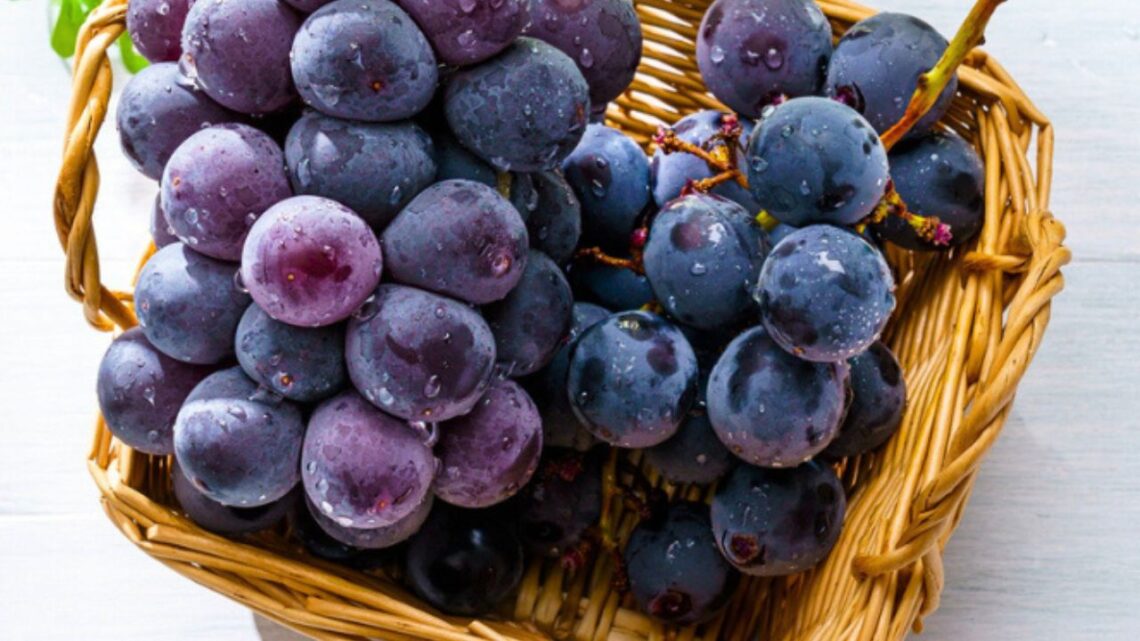 Peru Becomes World’s Top Table Grape Exporter — What Changed