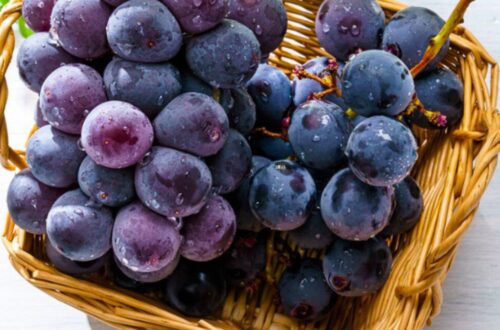 Peru Becomes World’s Top Table Grape Exporter — What Changed