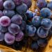 Peru Becomes World’s Top Table Grape Exporter — What Changed