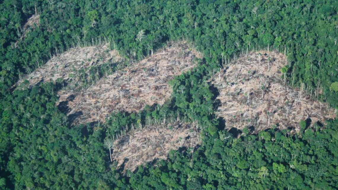 Peru Plans To Remove Protections For Indigenous Lands — What It Means