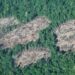 Peru Plans To Remove Protections For Indigenous Lands — What It Means