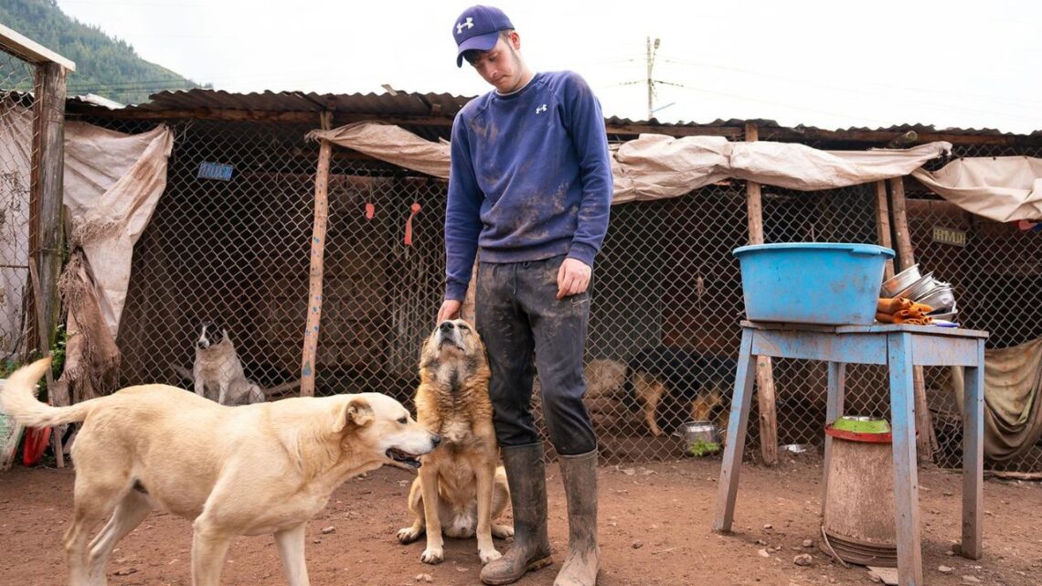 Peru Rescue Station Needs Your Help - Donate To Save Lives