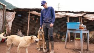 Peru Rescue Station Needs Your Help - Donate To Save Lives