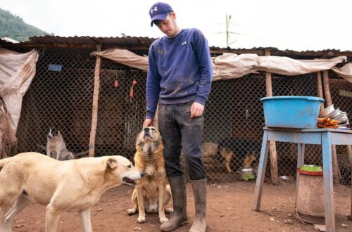 Peru Rescue Station Needs Your Help - Donate To Save Lives