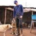 Peru Rescue Station Needs Your Help - Donate To Save Lives