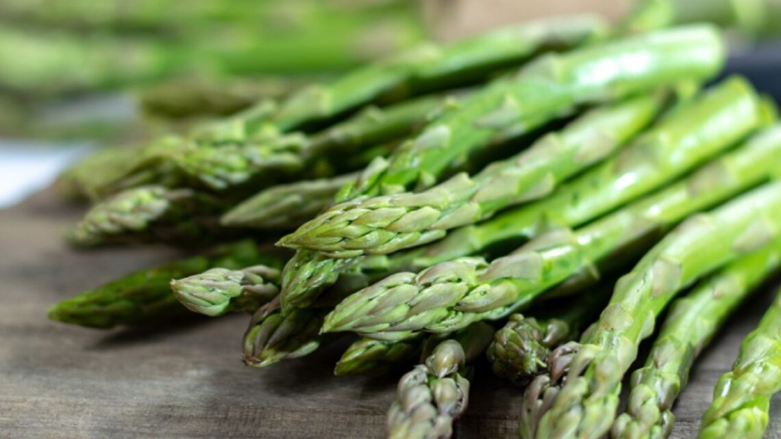 Peru’s 2025 Asparagus Exports Soar In Volume — But Value Stays Flat