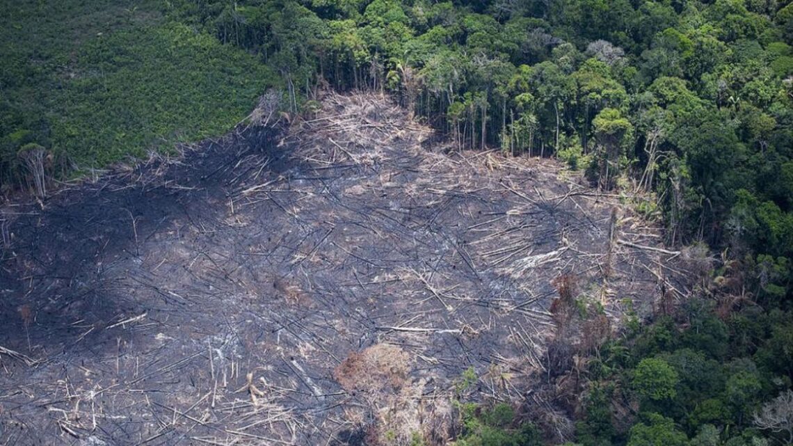 Peru’s Amazon Under Siege- Emerging Mining Hotspots Fuel Deforestation Crisis