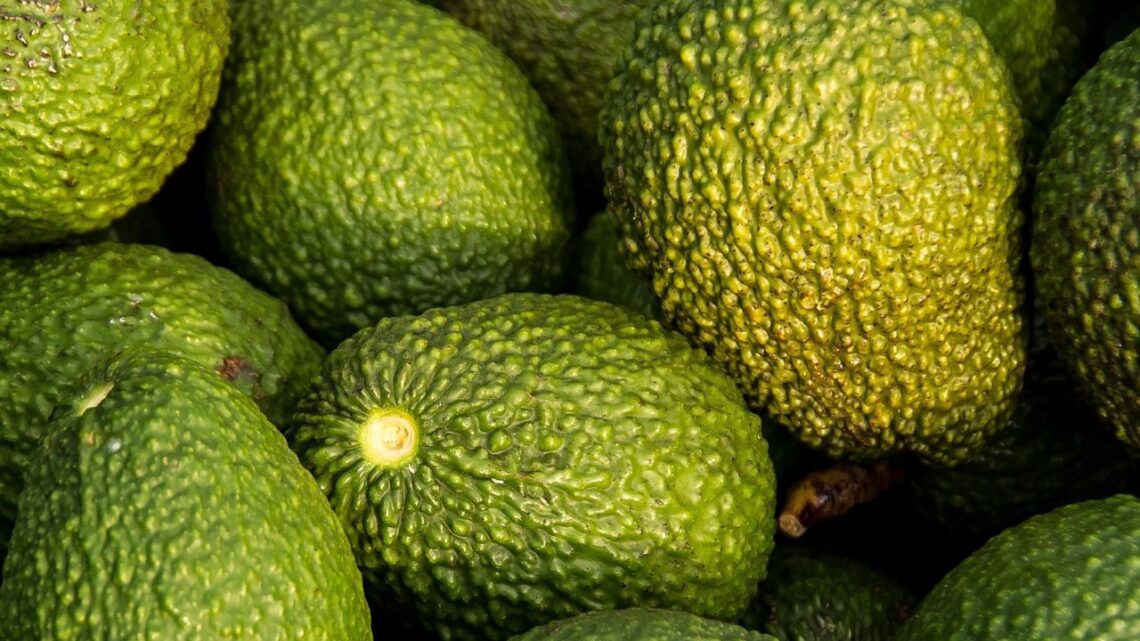 Peru’s Avocado Campaign Wins Over China With Record Sales And Views
