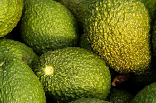 Peru’s Avocado Campaign Wins Over China With Record Sales And Views