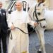 Polish Donor Gifts Pope Leo A Stunning Purebred White Arabian Horse