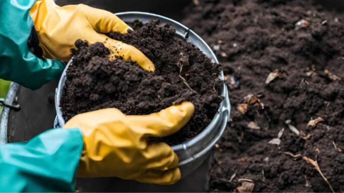 TASA Uses Plant Waste To Fertilize Local Environment In Sustainability Push