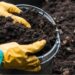 TASA Uses Plant Waste To Fertilize Local Environment In Sustainability Push