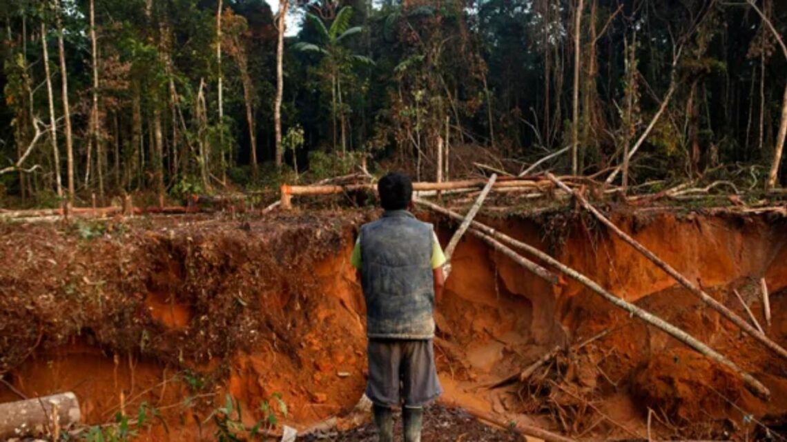 The South American Trade Bloc Has Directed Peru To Take Stronger Action Against Mercury Trafficking And Illegal Gold Mining